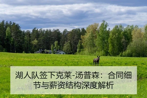 hu-ren-dui-qian-xia-ke-lai-tang-pu-sen-he-tong-xi-jie-yu-xin-zi-jie-gou-shen-du-jie-xi-2-447.jpg