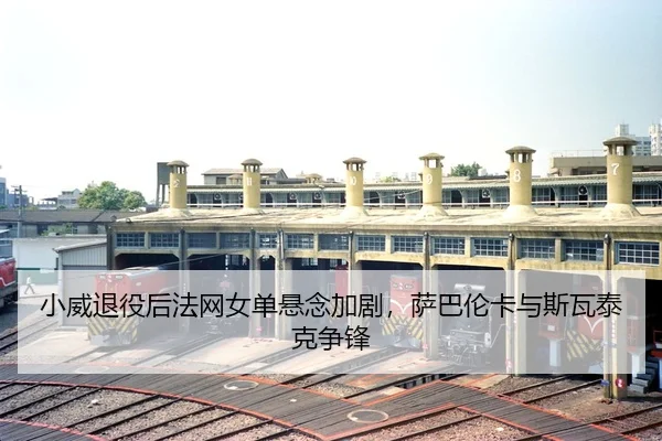 xiao-wei-tui-yi-hou-fa-wang-nv-dan-xuan-nian-jia-ju-sa-ba-lun-ka-yu-si-wa-tai-ke-zheng-feng-3-530.jpg