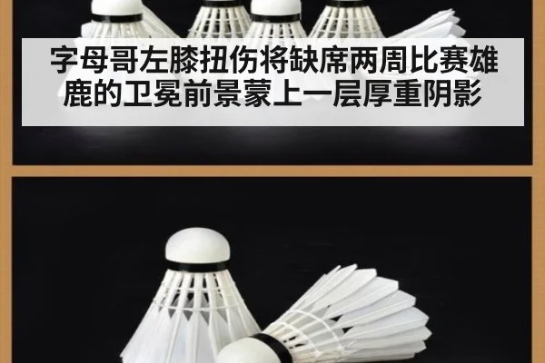 字母哥左膝扭伤将缺席两周比赛雄鹿的卫冕前景蒙上一层厚重阴影
